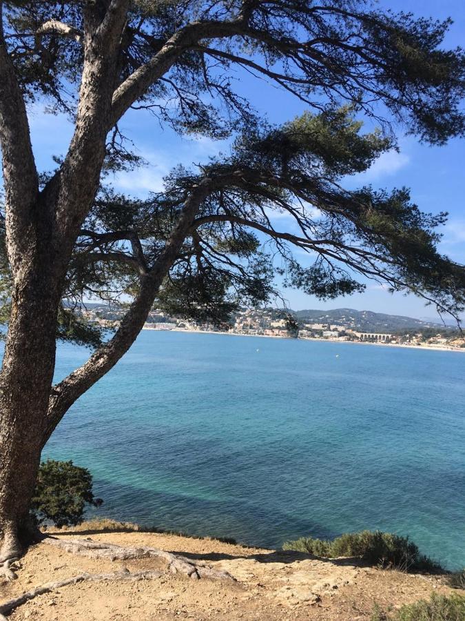 Les Galets De Sanary - Vue Mer Zewnętrze zdjęcie